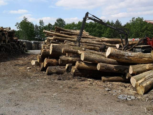 Extra trockenes Rundholz – Buche, Eiche, Hainbuche – 30 Ster