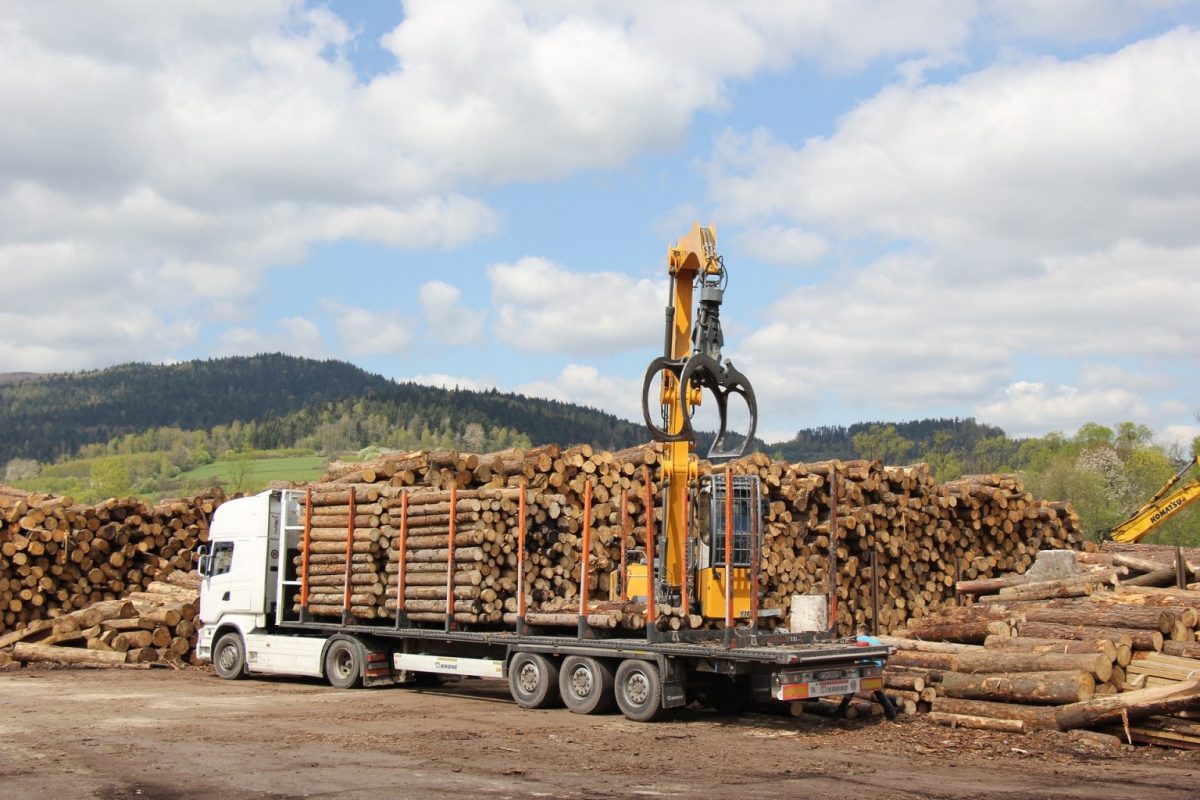 Camion de bois en grume – Hêtre – 60 stères